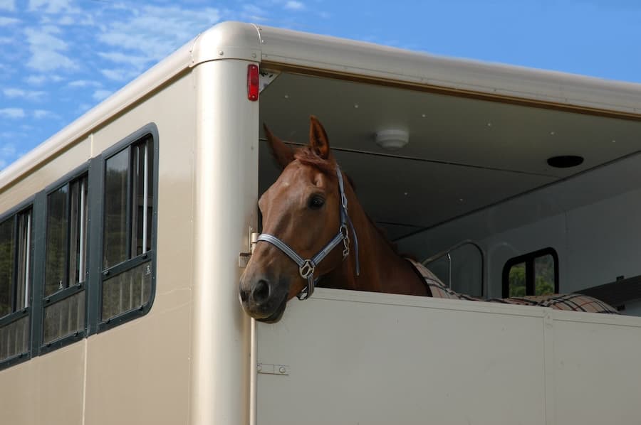 Horse trailer repair and service